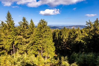 Thüringen Ormanı 'nda Oberhof ve Suhl üzerinden Almanya üzerinden sonbahar bisiklet turu