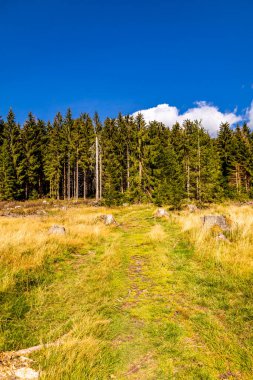 Thüringen Ormanı 'nda Oberhof ve Suhl üzerinden Almanya üzerinden sonbahar bisiklet turu