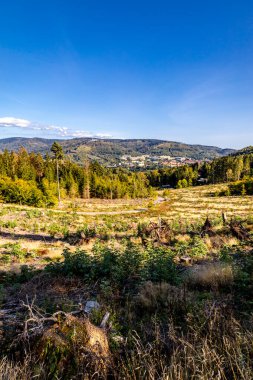 Thüringen Ormanı 'nda Oberhof ve Suhl üzerinden Almanya üzerinden sonbahar bisiklet turu