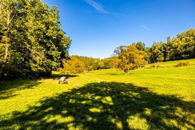 Thüringen Ormanı 'nda Oberhof ve Suhl üzerinden Almanya üzerinden sonbahar bisiklet turu