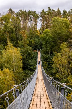 Kyffhuser - Thüringen - Almanya 'daki Hohe Schrecke Doğa Parkı' nda sonbahar yürüyüşü