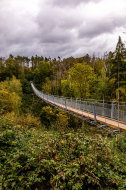 Kyffhuser - Thüringen - Almanya 'daki Hohe Schrecke Doğa Parkı' nda sonbahar yürüyüşü
