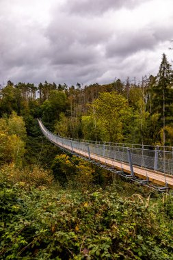 Kyffhuser - Thüringen - Almanya 'daki Hohe Schrecke Doğa Parkı' nda sonbahar yürüyüşü