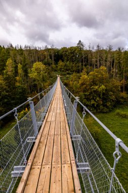 Kyffhuser - Thüringen - Almanya 'daki Hohe Schrecke Doğa Parkı' nda sonbahar yürüyüşü