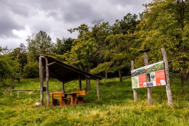 Kyffhuser - Thüringen - Almanya 'daki Hohe Schrecke Doğa Parkı' nda sonbahar yürüyüşü