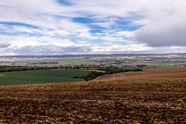Kyffhuser - Thüringen - Almanya 'daki Hohe Schrecke Doğa Parkı' nda sonbahar yürüyüşü
