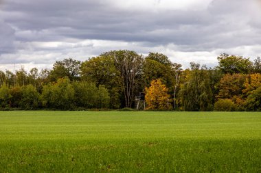 Kyffhuser - Thüringen - Almanya 'daki Hohe Schrecke Doğa Parkı' nda sonbahar yürüyüşü