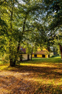 Kyffhuser - Thüringen - Almanya 'daki Hohe Schrecke Doğa Parkı' nda sonbahar yürüyüşü