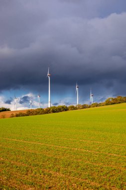 Kyffhuser - Thüringen - Almanya 'daki Hohe Schrecke Doğa Parkı' nda sonbahar yürüyüşü