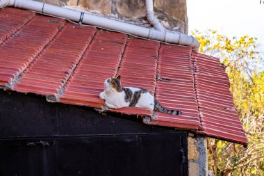 Alanya kentini, Türkiye Rivera 'daki heybetli şatosuyla keşfediyor - Türkiye