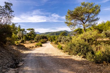 Türkiye 'nin iç kesimlerinden Alanya yakınlarındaki Taz Kanyonu' na keşif gezisi