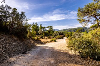 Türkiye 'nin iç kesimlerinden Alanya yakınlarındaki Taz Kanyonu' na keşif gezisi
