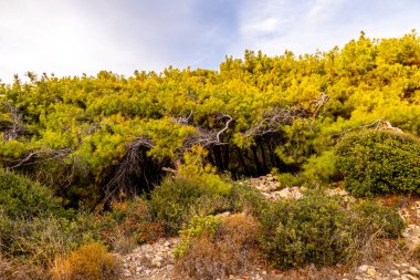 Alanya ilinin kapılarındaki Türk Rivera 'sında yaz sonu günleri - Türkiye