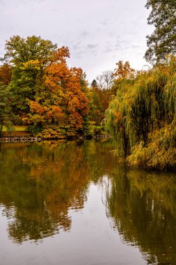 Rosenau Kalesi Parkı 'nda kısa sonbahar yürüyüşü Coburg yakınlarındaki güzel Rosenau Kalesi - Rdental - Bavyera - Almanya