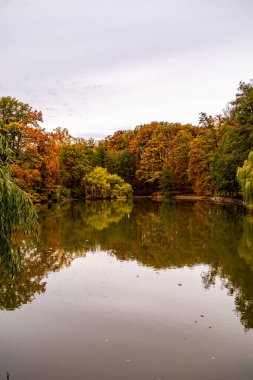 Rosenau Kalesi Parkı 'nda kısa sonbahar yürüyüşü Coburg yakınlarındaki güzel Rosenau Kalesi - Rdental - Bavyera - Almanya