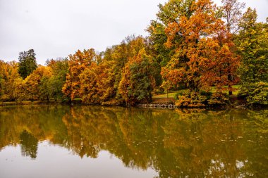 Rosenau Kalesi Parkı 'nda kısa sonbahar yürüyüşü Coburg yakınlarındaki güzel Rosenau Kalesi - Rdental - Bavyera - Almanya