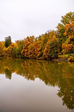 Rosenau Kalesi Parkı 'nda kısa sonbahar yürüyüşü Coburg yakınlarındaki güzel Rosenau Kalesi - Rdental - Bavyera - Almanya