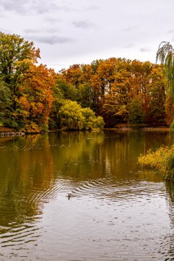 Rosenau Kalesi Parkı 'nda kısa sonbahar yürüyüşü Coburg yakınlarındaki güzel Rosenau Kalesi - Rdental - Bavyera - Almanya