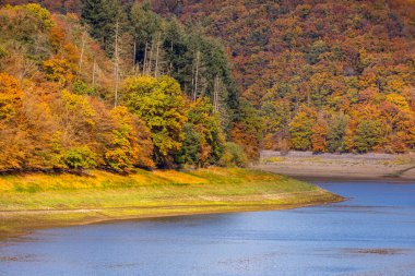Eder barajı boyunca sonbahar yürüyüşü ile batık şehir Eder Atlantis - Edertal - Hesse - Almanya