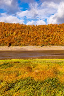 Eder barajı boyunca sonbahar yürüyüşü ile batık şehir Eder Atlantis - Edertal - Hesse - Almanya