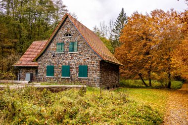 Eder barajı boyunca sonbahar yürüyüşü ile batık şehir Eder Atlantis - Edertal - Hesse - Almanya
