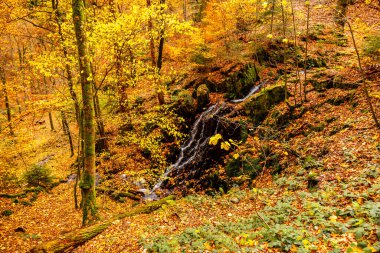 Tambach-Dietharz yakınlarındaki Spittergrund 'dan Thüringen Ormanı - Thüringen Ormanı - Almanya