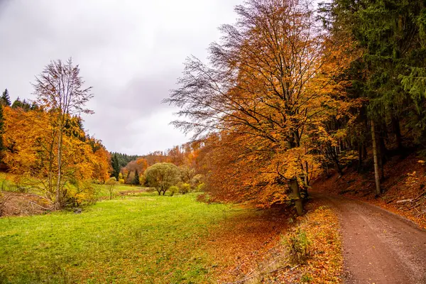 Autumn hike through the Spittergrund near Tambach-Dietharz to the waterfall - Thuringian Forest - Thuringia - Germany