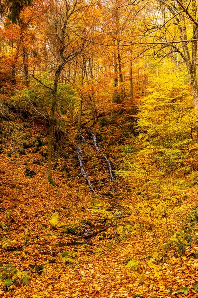 Autumn hike through the Spittergrund near Tambach-Dietharz to the waterfall - Thuringian Forest - Thuringia - Germany