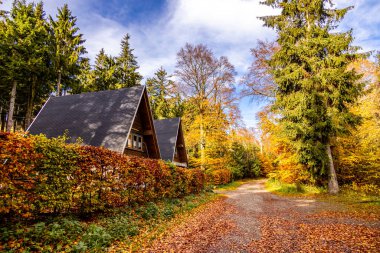Tambach-Dietharz yakınlarındaki Spittergrund 'dan Thüringen Ormanı - Thüringen Ormanı - Almanya