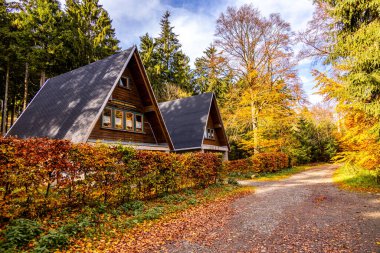 Tambach-Dietharz yakınlarındaki Spittergrund 'dan Thüringen Ormanı - Thüringen Ormanı - Almanya