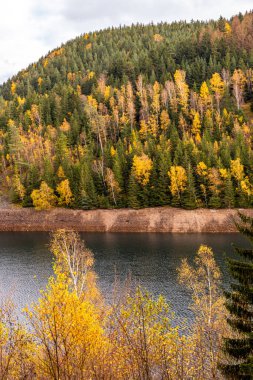 Luisenthal yakınlarındaki Ohratal barajında sonbahar yürüyüşü - Thüringen Ormanı - Thüringen - Almanya