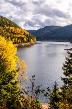 Luisenthal yakınlarındaki Ohratal barajında sonbahar yürüyüşü - Thüringen Ormanı - Thüringen - Almanya