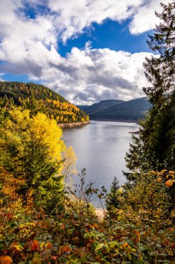 Luisenthal yakınlarındaki Ohratal barajında sonbahar yürüyüşü - Thüringen Ormanı - Thüringen - Almanya