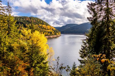 Luisenthal yakınlarındaki Ohratal barajında sonbahar yürüyüşü - Thüringen Ormanı - Thüringen - Almanya