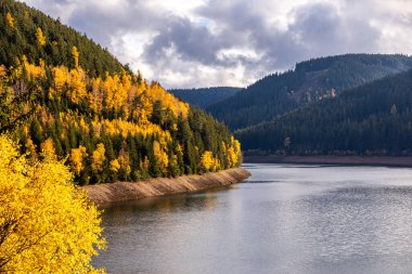 Luisenthal yakınlarındaki Ohratal barajında sonbahar yürüyüşü - Thüringen Ormanı - Thüringen - Almanya