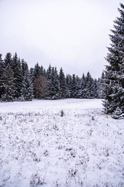 Karla kaplı Thüringen Ormanı 'nda ilk kış yürüyüşü Rennsteig İstasyonu - Thüringen - Almanya