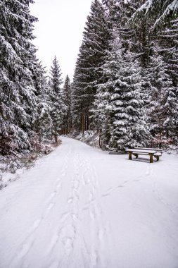 Karla kaplı Thüringen Ormanı 'nda ilk kış yürüyüşü Rennsteig İstasyonu - Thüringen - Almanya