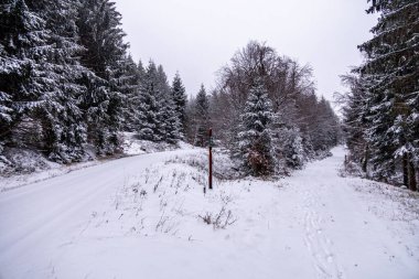 Karla kaplı Thüringen Ormanı 'nda ilk kış yürüyüşü Rennsteig İstasyonu - Thüringen - Almanya