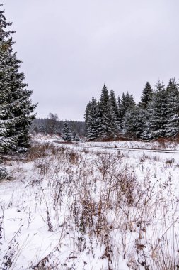 Karla kaplı Thüringen Ormanı 'nda ilk kış yürüyüşü Rennsteig İstasyonu - Thüringen - Almanya