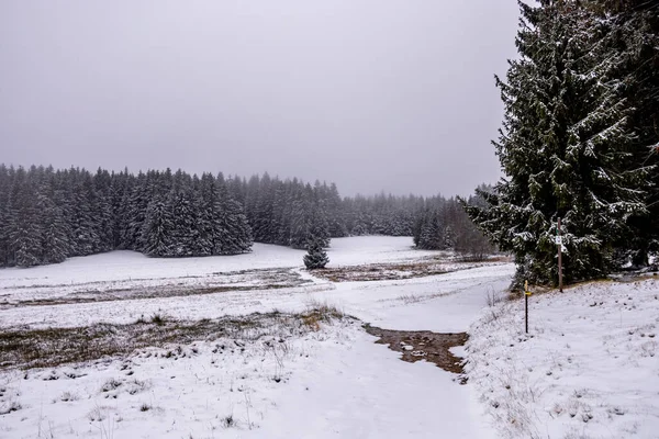 First winter hike through the snow-covered Thuringian Forest at Rennsteig station - Thuringia - Germany
