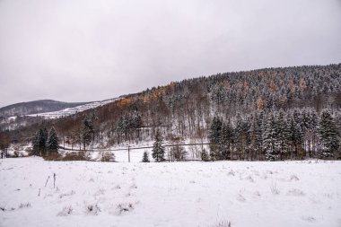 Tambach-Dietharz yakınlarındaki karla kaplı Thüringen Ormanı 'nda yapılan ilk kış yürüyüşü.