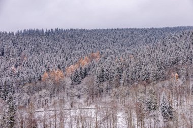Tambach-Dietharz yakınlarındaki karla kaplı Thüringen Ormanı 'nda yapılan ilk kış yürüyüşü.