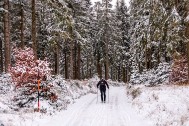 Tambach-Dietharz yakınlarındaki karla kaplı Thüringen Ormanı 'nda yapılan ilk kış yürüyüşü.