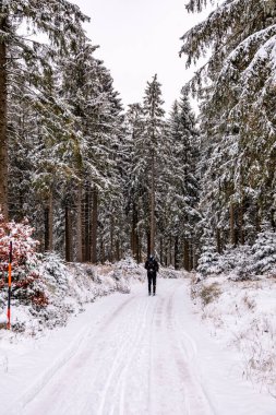Tambach-Dietharz yakınlarındaki karla kaplı Thüringen Ormanı 'nda yapılan ilk kış yürüyüşü.
