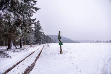 Tambach-Dietharz yakınlarındaki karla kaplı Thüringen Ormanı 'nda yapılan ilk kış yürüyüşü.