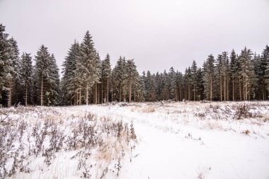 Tambach-Dietharz yakınlarındaki karla kaplı Thüringen Ormanı 'nda yapılan ilk kış yürüyüşü.