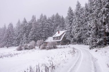 Tambach-Dietharz yakınlarındaki karla kaplı Thüringen Ormanı 'nda yapılan ilk kış yürüyüşü.