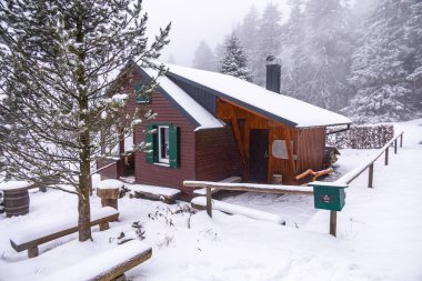 Tambach-Dietharz yakınlarındaki karla kaplı Thüringen Ormanı 'nda yapılan ilk kış yürüyüşü.
