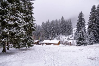 Tambach-Dietharz yakınlarındaki karla kaplı Thüringen Ormanı 'nda yapılan ilk kış yürüyüşü.