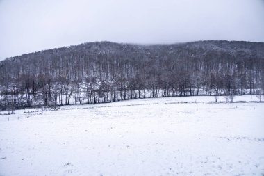 Tambach-Dietharz yakınlarındaki karla kaplı Thüringen Ormanı 'nda yapılan ilk kış yürüyüşü.